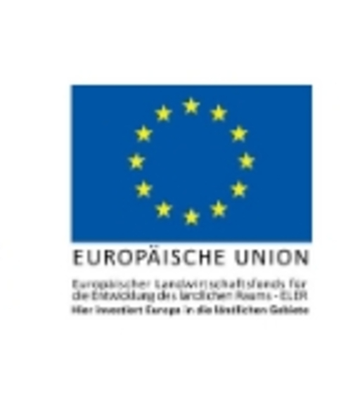 Darstellung EU Flagge Schriftzug PFEIL