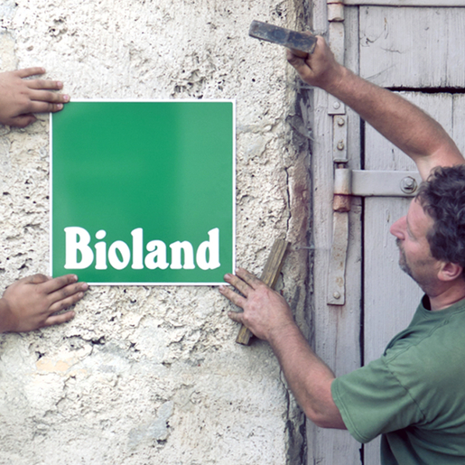 Mann befestigt Bioland-Schild an Wand