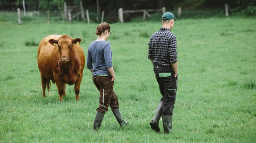 zwei Menschen und Kuh auf Weide