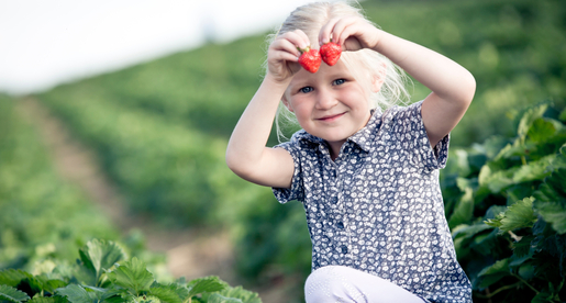 kleines Kind mit Erdbeeren