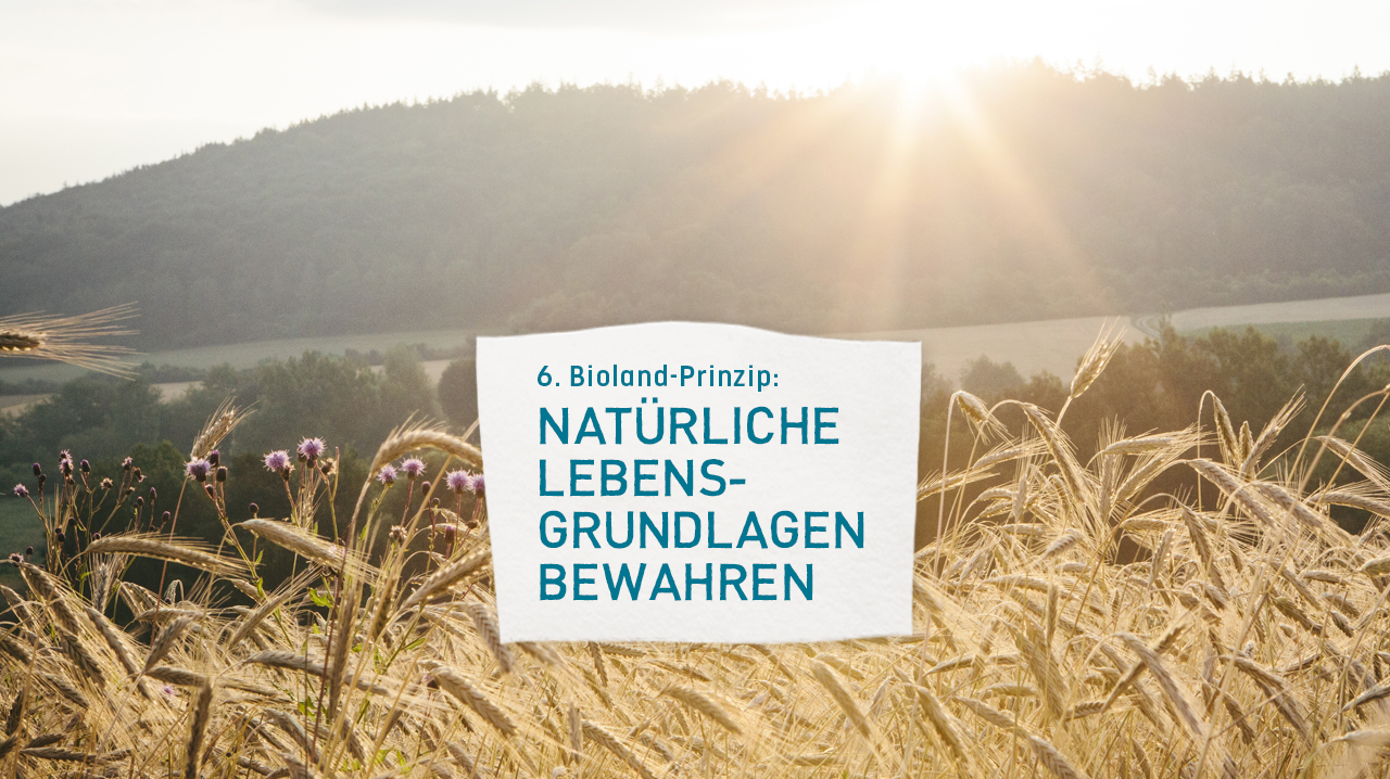 https://www.bioland.de/fileadmin/user_upload/Verbraucher/Blog/Klima_und_Umwelt/Lebensgrundlagen_erhalten/6_Prinzip.jpg